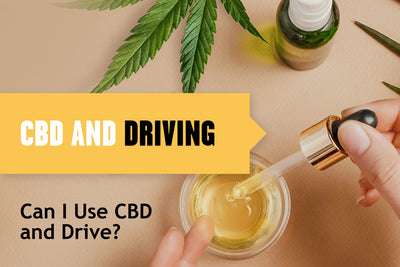 Can You Drive on CBD