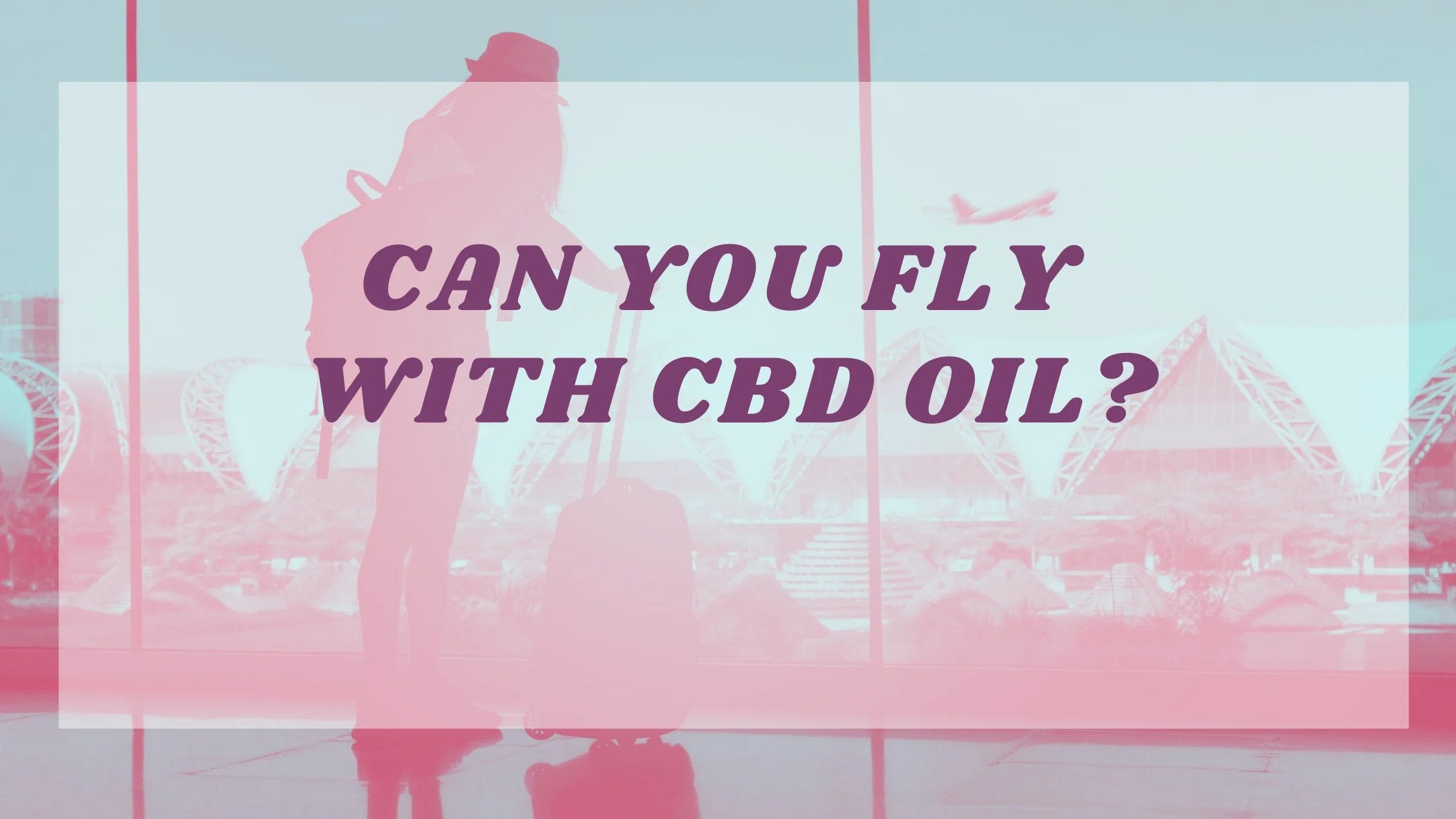 Can You Travel With CBD
